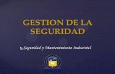 GESTION DE LA SEGURIDAD - smiuaca.files.wordpress.com · Los modelos de gestión de la seguridad y ... existencia de una cultura de seguridad, ... Para estimar un riesgo laboral ...