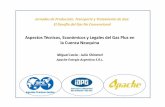 Aspectos Técnicos, Económicos y Legales del Gas … · Jornadas de Producción, Transporte y Tratamiento de Gas: El Desafío del Gas No Convencional Aspectos Técnicos, Económicos