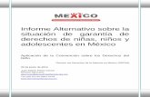 Informe Alternativo sobre la situación de garantía de derechos de …derechosinfancia.org.mx/documentos/Info_Alt_REDIM_Mexico.pdf · 5.1 Protección contra toda forma de violencia