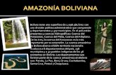 AMAZONÍA BOLIVIANA - YOUR TRAVEL. Agencia de … · puertas de su forma de vida al mundo para mostrar la belleza inimaginable de su hábitat los comunitarios del lugar sus anfitriones
