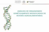 ANÁLISIS DE ORGANISMOS GENÉTICAMENTE MODIFICADOS DE ... · cuantificación de OGM a todas las personas interesadas en éstos análisis VANGUARDIA TECNOLÓGICA: Desarrollar, validar