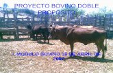 PROYECTO BOVINO DOBLE PROPOSITO - …€¦ · proyecto bovino doble proposito ... condiciones y manejo de ganado, molino forrajero, corral de manejo y establecimiento de 2 a 3 hectareas