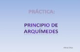Principio de Arquímedesfiles.fisicayquimicaenlared.webnode.com/200000146-b7dd0b8d76... · Comprobar el Principio de Arquímedes y deducir la fórmula del Empuje Principio de Arquímedes: