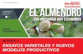 jornadas.interempresas.net EL ALMENDRO 1.3... · jornadas.interempresas.net EL ALMENDRO Una oportunidad para Extremadura #ALMENDRO2017 ... Marco de plantación: 1,5 x 4 m para RP