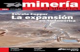 Actualización sobre el Procesamiento Technology³n... · operaciones de cobre de SX-EW en México. Aun cuando existen varias aplicaciones en flotación de metales base en Argentina,