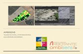 AMBISENS - arbotante.comarbotante.com/ambisens_teledeteccion.pdf · Por medio del uso de sensores ópticos terrestres ofrecemos el servicio de cartografía ... en cultivos como el