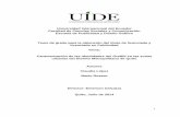 Universidad Internacional del Ecuadorrepositorio.uide.edu.ec/bitstream/37000/448/1/T-UIDE-0426.pdf · dedicados a la planificación, el desarrollo y la reforma del espacio público