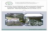 Documento Técnico Unificado de Aprovechamiento …sinat.semarnat.gob.mx/dgiraDocs/documentos/CUSF/24L700651213.pdf · proyectos forestales y ambientales, s.a. de c.v. av. manuel