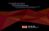 Criterios de ajuste y coordinación de Protecciones - … · coordinadas de los sistemas de protección, en el año 2004 Red Eléctrica puso en ... presentan los criterios de coordinación
