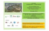 Jornada: CARRETERA Y VEGETACIÓN - eutromed.org · de CO2 de la vegetación arbórea y arbustiva susceptible de ser utilizada en la red de carreteras de Andalucía. Ponente: Manuel