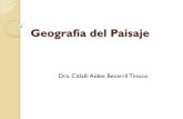 Geografía del Paisaje - sgpwe.izt.uam.mxsgpwe.izt.uam.mx/files/users/uami/citla/Paisaje.pdf · Geografía del paisaje ! Nace de la Geografía Física compleja. ! En los 70’s la