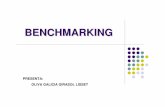 BENCHMARKING - depa.fquim.unam.mxdepa.fquim.unam.mx/amyd/archivero/TRABAJO1_2843.pdf · Identificar la necesidad y decidir la realización del benchmarking. Determinar el alcance,