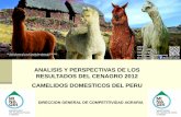 ANALISIS Y PERSPECTIVAS DE LOS RESULTADOS …agroaldia.minagri.gob.pe/biblioteca/download/pdf/videoconferencias/... · Existe un crecimiento poblacional de alpacas y vicuñas, y un
