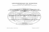 UNIVERSIDAD DE SONORAcp.isi.uson.mx/practicas_docs/212200309-reporte.pdf · 2017-03-27 · UNIVERSIDAD DE SONORA División de Ingeniería Departamento de Ingeniería Industrial DESARROLLO