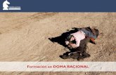 Presentación de PowerPoint - Doma Racional · 3 Doma Racional › Este sistema, basado en la concepción del caballo como un compañero digno del máximo respeto, se utiliza en Sudamérica