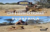 PROGRAMA DE VIAJE - Siweb: Acceso Panel Webacceso.siweb.es/content/983825/LE_N_LEONA_EN_KALAHARI_web.pdf · El desierto del Kalahari atraviesa con sus más de ocho millones de ...