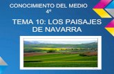 TEMA 10: LOS PAISAJES DE NAVARRAcpcadreita.educacion.navarra.es/web/ciclo2/files/2013/03/Tema-10... · montañas y llanuras: La fauna de las montañas: Viven aves como el quebrantahuesos