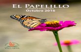 El Papelillo - Vallarta Botanical Gardens -€¦ · 15 Reporte Sobre los Programas Educativos y de Voluntariado del JBV ... cactus, crasuláceas y ... desde Tamaulipas hasta Chiapas.