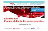 Sistema Rh: Puesta al día de los conocimientos · Importancia del Antígeno D Sujetos Rh Negativo productores de AntiAnti-D: 80% de los receptores de grandes volúmenes de sangre