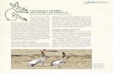 CONEJOS Y LIEBRES SILVESTRES DE MÉXICObioteca.biodiversidad.gob.mx/janium/Documentos/12747.pdf · de suelo para expandir sus distribuciones geográficas ... sea en la madriguera