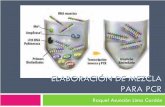 Elaboración de mezcla para PCR - bchguatemala.gob.gt · PCR: aplicaciones Genética de poblaciones Evolución molecular Genómica Medicina forense. PCR: ¿Cómo funciona? Después