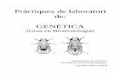 Pràctiques de laboratori de: GENÈTICA · Introducció a l’organisme model Drosophila melanogaster Raons per a l’ús de la Drosophila: Hi ha moltes raons que fan de la D. melanogaster