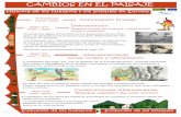 CAMBIOS EN EL PAISAJE - efirecom.ctfc.catefirecom.ctfc.cat/wp-content/uploads/2016/12/Poster_v1_FORESPIR.pdf · CAMBIOS EN EL PAISAJE Historia de los humanos y los bosques en Europa