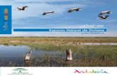 Guía del espacio natural de Doñana y su entorno · El entorno Doñana Para el visitante que se acerque a estos lugares es difícil separar los dos territorios que forman parte de