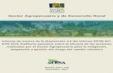 Sector Agropecuario y de Desarrollo Rural€¦ · Área de Política Agropecuaria y Rural . ... agropecuaria y pesquera. ... Para el desarrollo de sus funciones cuentan con tecnología