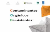 Contaminantes Orgánicos Persistentes - residuoscop.org · 4 Los COP se han esparcido por todo el mundo, a través de los procesos del medio ambiente, en organismos vivos, y en muchos