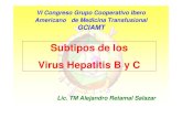 Subtipos de los Virus Hepatitis B y Cs2466b93f0b9d8174.jimcontent.com/download/version... · Estructura del Virus de la Hepatitis (VHB) Partícula Dane de 41 nm HBsAg Mediano Nucleocápside