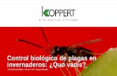 Control biológico de plagas en invernaderos: ¿Quo vadis? · importantes en mosca blanca y trips. ... Superficie utilizando control biológico aumentativo en los programas IPM -