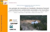 Presentación de PowerPoint - congreso.us.es · Los paisajes de montaña en Cataluña: dinámica forestal y perturbaciones ambientales asociadas a los incendios Pèlachs, A.; Barrachina,M.;