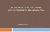 BASES PARA LA AGRÍCULTURA AGROECOLÓGICA EN …agroecologia2014.asdenic.org/pdf/ppt17.pdf · microbiología del suelo y de la perdida de millones de seres humanos que mueren a diario,