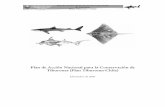 Plan de Acción Nacional para la Conservación de … · En el caso de Chile, el 21% de las especies de tiburones y el 85% de las especies de rayas presentes en el país son endémicas