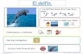 El delfín. - ANA. Asociación Navarra de Autismo · El delfín. - Los delfines nacen de la tripa de su mamá. - Viven en el agua y nadan muy rápido - Comen peces y crustáceos.