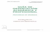 GUÍA DE ORIENTACIÓN ACADÉMICA Y PROFESIONAL BACHILLERATO … · JUNTA DE ANDALUCIA CONSEJERÍA DE EDUCACIÓN DELEGACIÓN PROVINCIAL DE GRANADA SERVICIO DE ORDENACIÓN EDUCATIVA