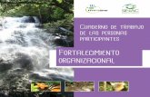 Cuaderno de trabajo de las personas participantesra-training-library.s3.amazonaws.com/Fortalecimiento organizacional... · Sistema Nacional de Áreas de Conservación (SINAC) ...