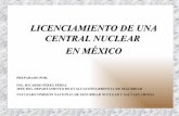 LICENCIAMIENTO DE UNA LICENCIAMIENTO DE … · Actividades y Funciones de la Gerencia de Seguridad Nuclear, Reunión ININ-CNSNS, 28 de febrero 2005 Bases de la Seguridad Nuclear: