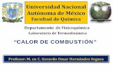 Universidad Nacional Autónoma de Méxicodepa.fquim.unam.mx/amyd/archivero/CALOR_DE_COMBUSTION_3076… · FUNDAMENTO DE LA MEDICIÓC. LA ENERGÍA INTERNA... Es la energía que tiene