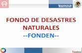 FONDO DE DESASTRES NATURALES --FONDEN-- - …proteccioncivil.gob.mx/.../2/images/PresentacionFONDENReconstrucci… · Secretaría de Gobernación A partir de 1996 se constituyó dentro