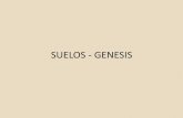 SUELOS - GENESIS - Cátedra Patología de la … · SUELO •ENSAYO DE PENETRACIÓN STANDART •DETERMINACIÓN DE LA HUMEDAD NATURAL •ENSAYO TRIAXIAL •INDICES DE CONSISTENCIA:
