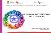 COLEGIO DE ESTUDIOS CIENTÍFICOS Y …cecytev.edu.mx/wp-content/uploads/2012/03/Tutorías-Segundo... · •Preparación y compromiso del tutor para realizar las actividades de tutoría