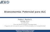 Bioeconomía: Potencial para ALC - legacy.iica.intlegacy.iica.int/Esp/regiones/sur/uruguay/Documentos de la Oficina... · Organismos & Poblaciones Órganos & Tejidos Medicinas, drogas,