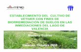 ESTABLECIMIENTO DEL CULTIVO DE VETIVER CON FINES DE ... · establecimiento del cultivo de vetiver con fines de biorremediaciÓn de suelos en las inmediaciones del lago de valencia