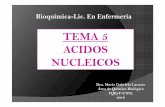 TEMA 5 ACIDOS NUCLEICOS - Bioquímica para … · El resto de las bases nitrogenadas forma parte de ambos ácidos nucleicos. Hay dos tipos: PÚRICAS PIRIMÍDICAS. 2. Pentosas ...