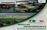 MINISTUJO DE AGRICULTURA MODELOS …biblioteca.infor.cl/DataFiles/24905.pdf · Los modelos agroforestales o agroforesteria, son aquellos que combinan árboles o arbustos, ... uso