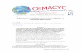 ¿Qué aporta el realismo crítico a la investigación en ...ciaem-redumate.org/memorias-icemacyc/393-442-3-DR-C.pdf · I CEMACYC, República Dominicana, 2013. ¿Qué aporta el realismo