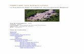 La Arquitectura Petén en Calakmul: Una Comparación … · sin lugar a dudas uno de los objetivos que al concretarse, esclarecerá cuestiones tanto ... materiales líticos, huesos