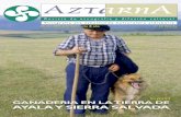 AYALA Y SIERRA SALVADA - aztarna.esaztarna.es/wp-content/uploads/2018/06/RevistaAztarna30_Oto2005.pdf · 4 La Tierra de Ayala se encuentra situada, junto con los ayuntamientos de